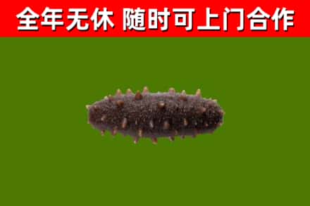 余姚市烟酒回收干海参.jpg